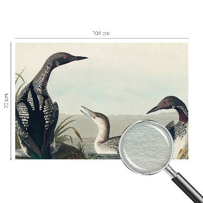 Papier peint photo intissé Vtáky nad vodou