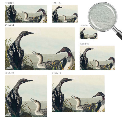 Papier peint photo intissé avec un motif d'oiseaux au-dessus de l'eau