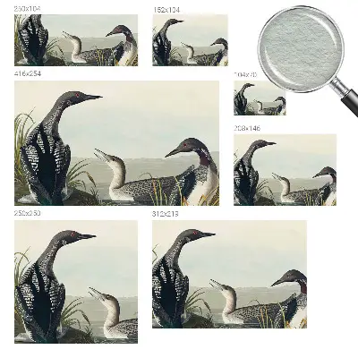 Papier peint photo imprimé sur tissu non tissé Oiseaux au-dessus de l'eau