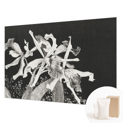 Papier peint photographique avec une illustration d'orchidée