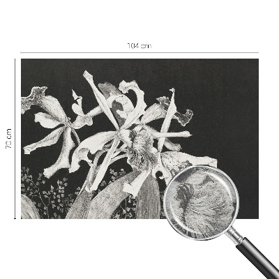 Papier peint photographique avec une illustration d'orchidée