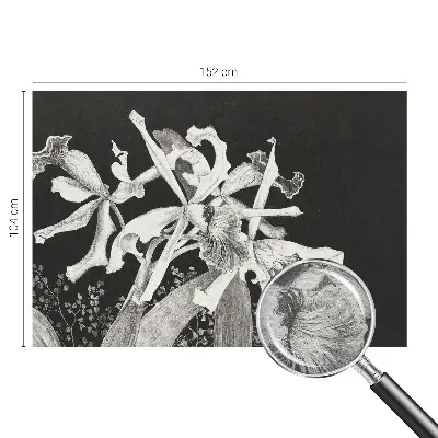 Papier peint photographique sur tissu non tissé Illustration d'orchidée