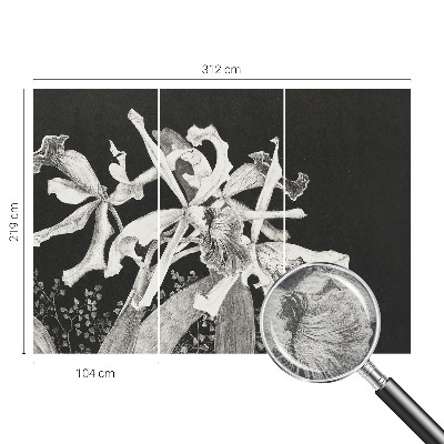 Papier peint photographique avec une illustration d'orchidée