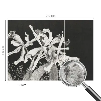 Papier peint photographique sur tissu non tissé Illustration d'orchidée