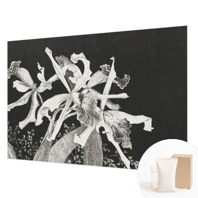 Papier peint photographique avec une illustration d'orchidée
