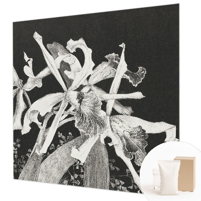 Papier peint photographique Ilustrácia orchidey