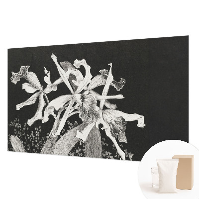 Papier peint photographique avec une illustration d'orchidée