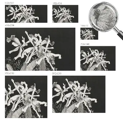 Papier peint photographique sur tissu non tissé Illustration d'orchidée