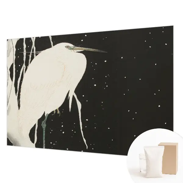 Papier peint photographique salon avec le motif « Zimný vták »