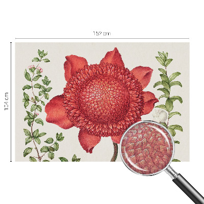 Papier peint photographique Kvetinová elegancia