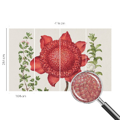 Papier peint photographique Kvetinová elegancia