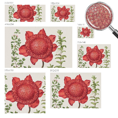 Papier peint photographique Kvetinová elegancia