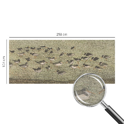 Tapisserie panoramique avec motif de chambre d'oiseaux