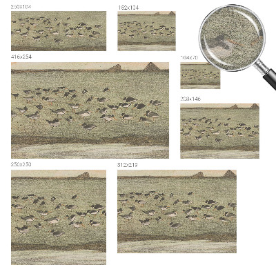 Tapisserie panoramique avec motif de chambre d'oiseaux