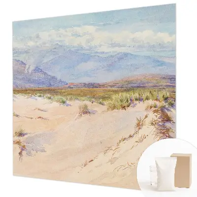Papier peint photographique sur tissu non tissé paysage désertique