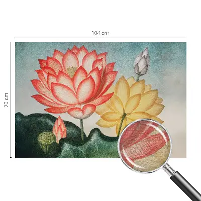 Papier peint intissé fleurs de lotus