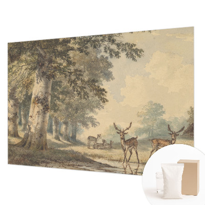 Papier peint panoramique facile à poser Lesný pokoj