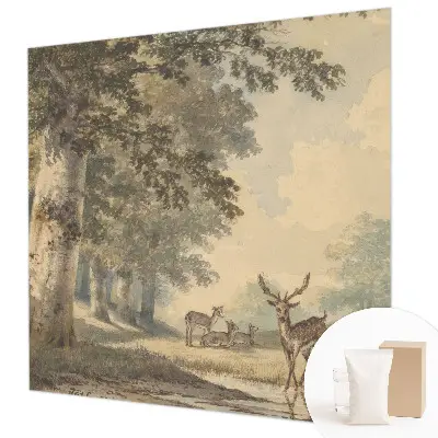Papier peint panoramique facile à poser au motif « Lesný pokoj »
