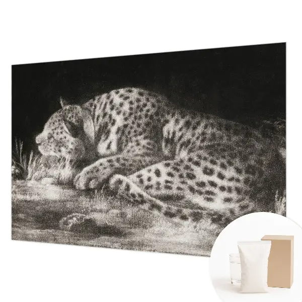 Papier peint panoramique de haute qualité avec un motif de léopard au repos