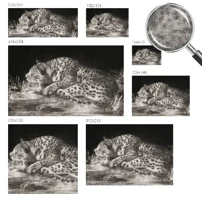 Papier peint panoramique de haute qualité avec un motif de léopard au repos