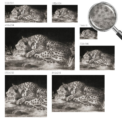 Papier peint panoramique de haute qualité Leopard odpočíva