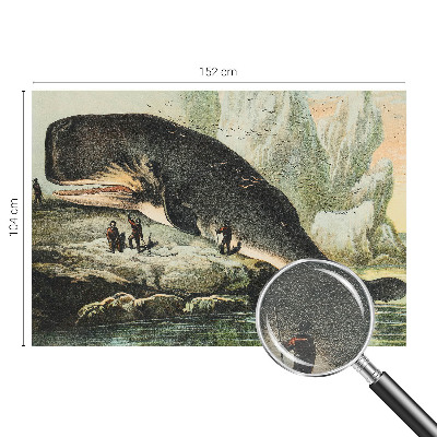Papier peint photographique avec le motif « Morský gigantizmus »