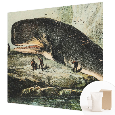 Papier peint photographique avec le motif « Morský gigantizmus »