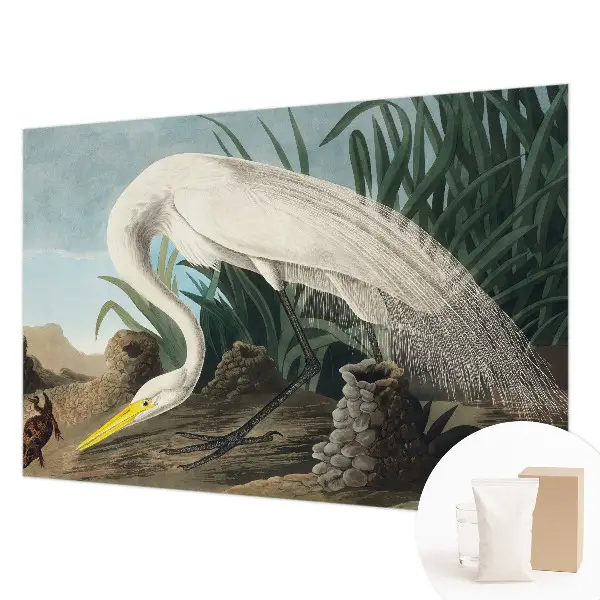 Poster mural panoramique avec une majestueuse grande aigrette