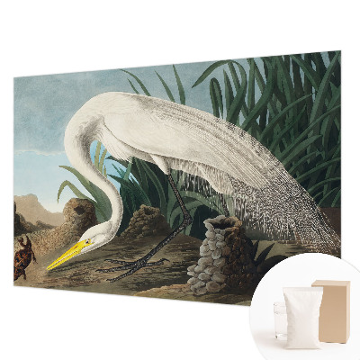 Poster mural panoramique avec une majestueuse grande aigrette