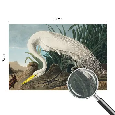 Poster mural panoramique avec une majestueuse grande aigrette