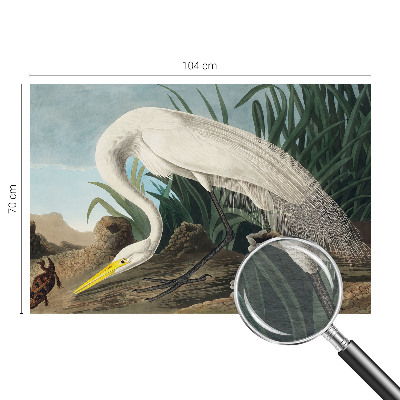 Poster mural panoramique Majestátna volavka