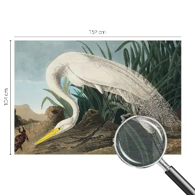 Poster mural panoramique avec une majestueuse grande aigrette