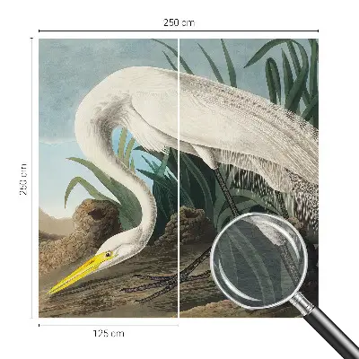 Poster mural panoramique avec une majestueuse grande aigrette