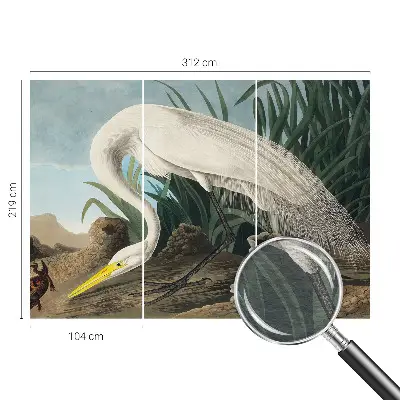 Poster mural panoramique avec une majestueuse grande aigrette
