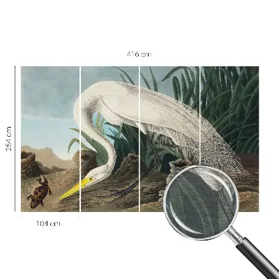 Poster mural panoramique avec une majestueuse grande aigrette