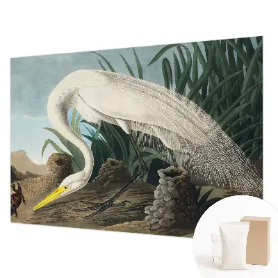 Poster mural panoramique avec une majestueuse grande aigrette