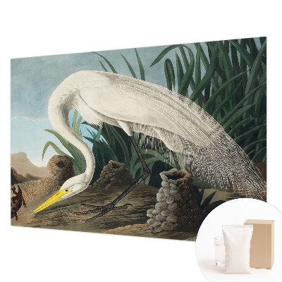 Poster mural panoramique Majestátna volavka