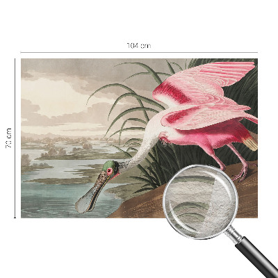 Papier peint salon moderne Exotický vták