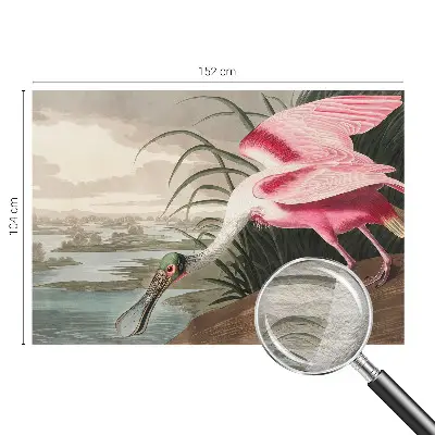 Papier peint salon moderne avec un motif d'oiseau exotique