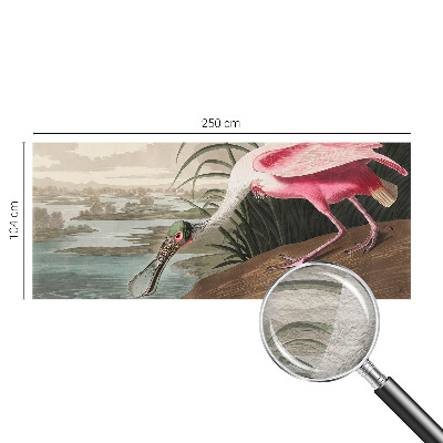 Papier peint salon moderne Exotický vták