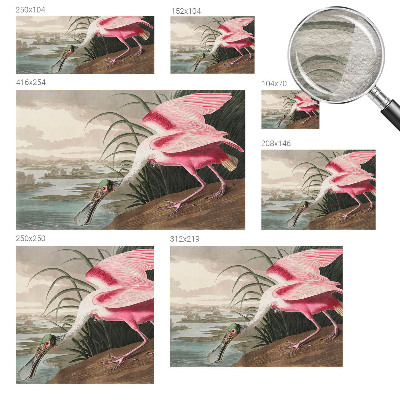 Papier peint salon moderne Exotický vták