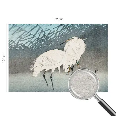 Papier peint photo imprimé sur tissu non tissé Oiseaux délicats