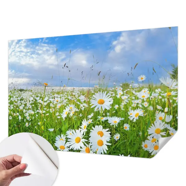 Papier peint photo grand format pour le mur prairie d'été