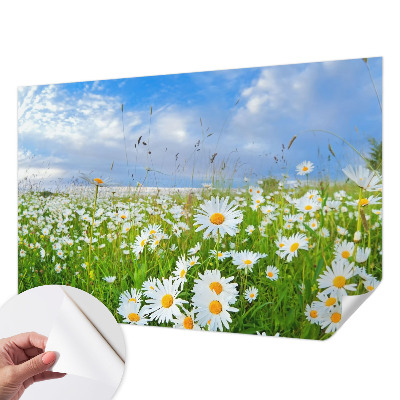 Papier peint panoramique adhésif Letná lúka