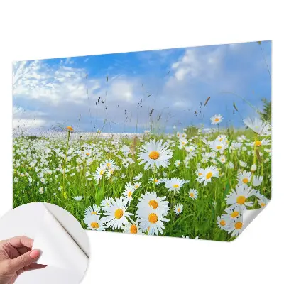 Papier peint photo grand format pour le mur prairie d'été