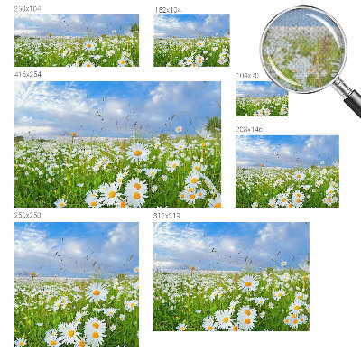 Papier peint panoramique adhésif Letná lúka