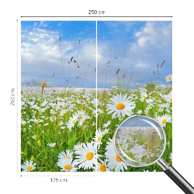 Papier peint panoramique adhésif Letná lúka