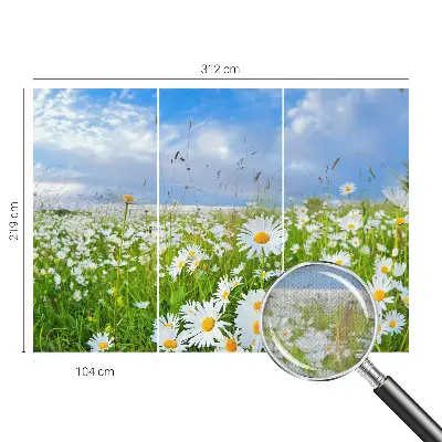 Papier peint photo grand format pour le mur prairie d'été