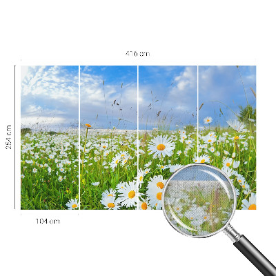 Papier peint panoramique adhésif Letná lúka