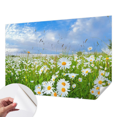 Papier peint panoramique adhésif Letná lúka